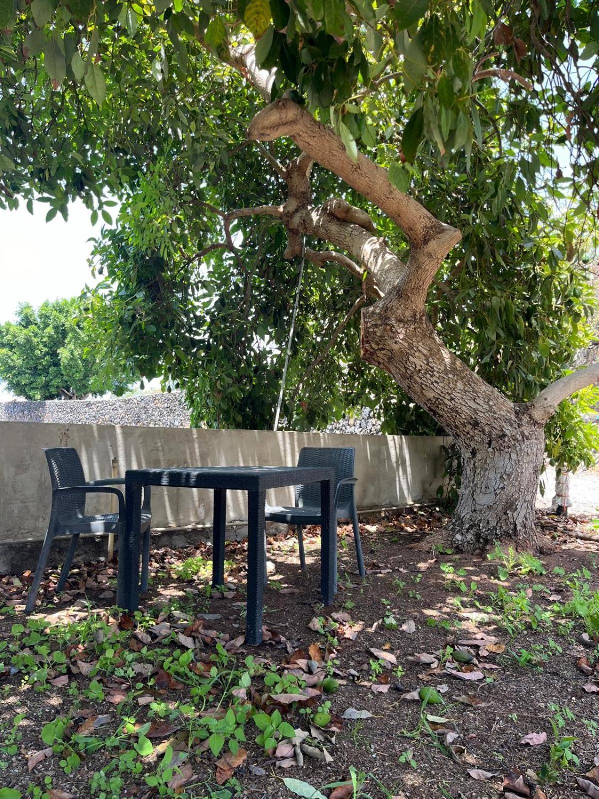 Fincaecoamaro Puerto de Santiago  Exteriér fotografie